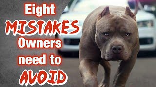 8 MISTAKES new American Bully Owners Make!
