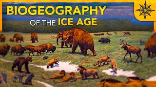 The BIOGEOGRAPHY of the Ice Age