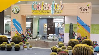 พาชมงาน colorful cactus & succulent 2020 สำหรับคนรัก แคคตัส และไม้อวบน้ำ พลาดไม่ได้