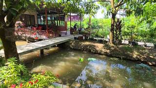 ÚT VÔ BẾP NẤU ĐỒ ĂN SÁNG ĂN MỪNG ĐEM CÂY SẦU RIÊNG ĐẶC BIỆT VỀ KHU NHÀ VƯỜN MIỀN QUÊ ĐỒNG THÁP
