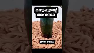 ഇതാണ് മനുഷ്യന്റെ അവസ്ഥ , ഇത്ര  ഉള്ളൂ ഒരു മനുഷ്യൻ പിന്നെ എന്തിനാണ് അഹങ്കാരം#ശുഭചിന്ത#yt#shortsfeed