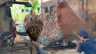 Giant Wood Sawing Process  There Was A Horrific Incident