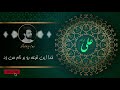 سید جواد ذاکر امیرالمومنین ام الکتاب است در دنیا زدم دنیا علی بود