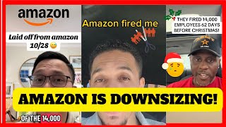 “No One’s Job Is Safe at Amazon”