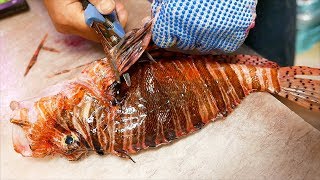 Japanese Street Food - LIONFISH Most VENOMOUS Fish in the World!