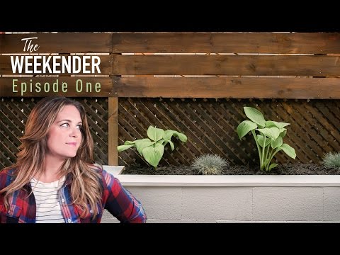 The Weekender: "Concrete Jungle Patio" (Episode 1)