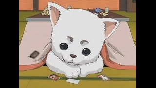 Gintama (AMV)-   Shirogane No Tamashii-hen-Kouhan-Sen,  GINTOKI SAVES SADAHARU