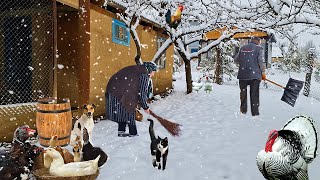 Snow Falls in Azerbaijan Mountain Village. Best Recipes in 2-Hour Video.