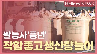 올해 당진 쌀 농사 ′풍년′...작황 좋고 생산량 늘어