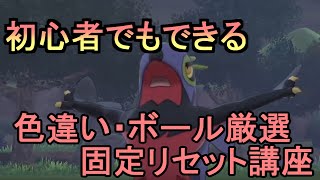 【ポケモン剣盾】初心者でもわかる野生色違い固定リセット講座