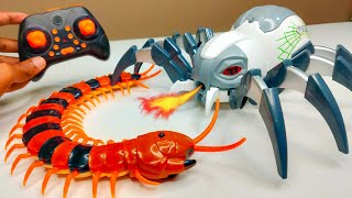 RC Tarantula Spider Vs RC Kankhajura Vs RC Robotic Spider Unboxing & Fight - Chatpat toy tv