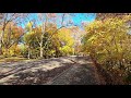 ニューヨーク セントラルパークの🍁autumn leaves in central park 11 10 2020 today s last day