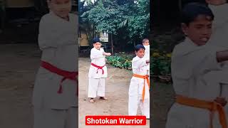 #shotokan #karate #sensei #selfdefense #punching #viral