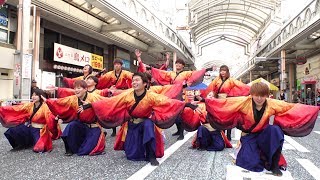 下関市立大学よさこいダンスサークル「震」 @ Yosakoiぶち楽市民祭 (みずほ銀行前会場) 2019-11-10T13:36