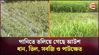 বন্যায় ব্যাপক ক্ষতিগ্রস্ত কৃষিখাত | Flood | Agriculture | Channel 24