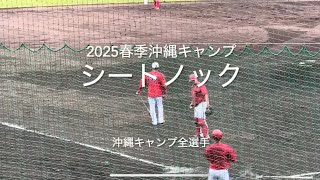 シート打撃前の沖縄キャンプ全選手でのシートノック！【2025.2.20春季沖縄キャンプ】#広島カープ#2025春季沖縄キャンプ#コザしんきんスタジアム#シート打撃#シートノック