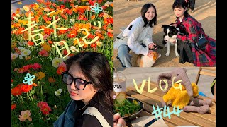 VLOG#44初春到立夏的琐碎 居然贯穿了三个生日｜生姜碎片