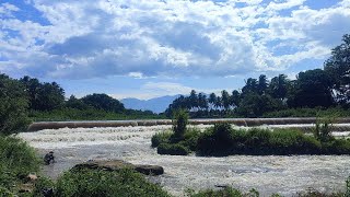 Mullai periyar River# Theni veerapandi# தேனி வீரபாண்டி #River# முல்லை பெரியார் ஆறு #தேனி#