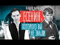 Каким был Сергей Есенин? Биография и творчество | Поэт и бунтарь