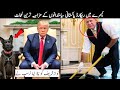 Pakistani Funny Politicians Moments 😂😜 Trump won | kuch bee