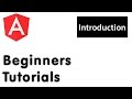AngularJS Basics Tutorial for Beginners - 00 - Course Overview