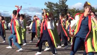 下野よさこい’16 リゾンなるこ会飛鳥