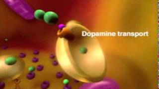 MOA of methylphenidate
