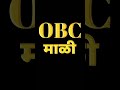 obc mali mahatmaphule hindu shorts viral