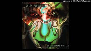 Dusty Fungus - Aphorisms  Interludes - Desiseq Remix