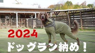 【おでかけ#48】2024年のドッグラン納めに行ってきました！