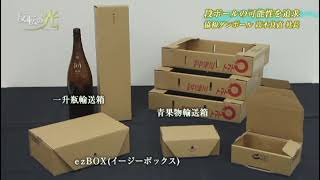 反転の光 「協和ダンボール株式会社」