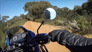 Anglesea Heath motorcycle ride RAW