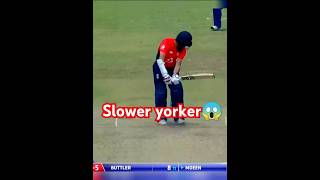 slower yorker by malinga😱#cricket #shorts