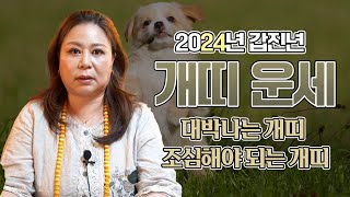 🐶 2024년 갑진년 ‘대박나는 개띠‘ 사주와 조심해야되는 개띠 사주의 운세 [용한점집]