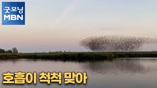 [굿모닝월드] 호흡이 척척 맞아 [굿모닝MBN]