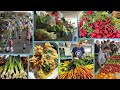 Iowa City Update: Farmers Market