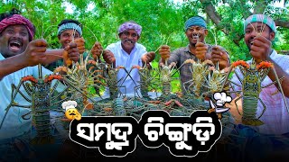 ଗୋଟିକିଆ ଚିଙ୍ଗୁଡ଼ି ଗୋଟେ KG 😲, 50kg ଚିଙ୍ଗୁଡ଼ି ର ଜଙ୍ଗଲ ଭୋଜି