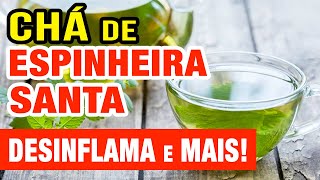 Chá para Inflamação, Estômago, Intestino, Gases,... Benefícios da Espinheira Santa!