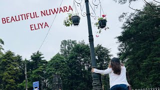 සීතල නුවර එලියෙ දවස් හතරක් | Long weekend at Nuwara Eliya | Sri Lanka