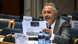 UN Seminar on Assistance to the Palestinian People, Nairobi, 1-2 July 2014 - Plenary I