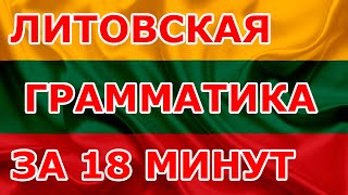 Литовская грамматика за 18 минут. Уроки литовского языка.