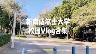 新南威尔士大学 UNSW  Vlog