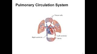 Mastering Medical Terminology Chapter 10: Cardiovascular System