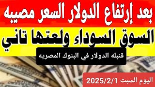 الدولار في السوق السوداء | اسعار الدولار والعملات اليوم السبت 2025/2/1 في مصر والبنوك والصاغه