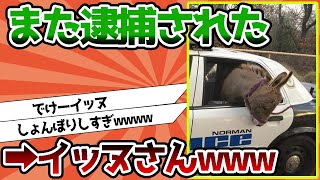 【2ch動物スレ】イッヌさんまた逮捕されるwwwwwww