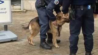 Poitiers: les circonstances de l'évasion du palais de justice