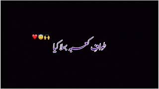 Tere Baghair Hussain (as) _ Mir Hasan Mir black screen status 3 Shaban Manqabat black screen status
