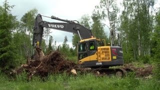 Volvo ECR235DL - Sorting stubs with Engcon Tiltrotator EC226