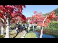 京都の紅葉2023 ライブ配信 永観堂