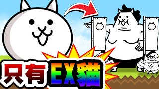 被限制只能叫ＥＸ貓！！這關過的去嘛！？【貓咪大戰爭】